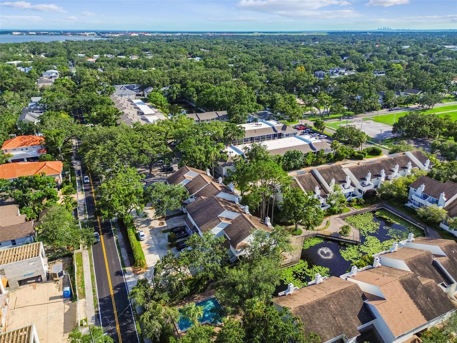 Image 49 of 56 For 5207 Bayshore Boulevard 16
