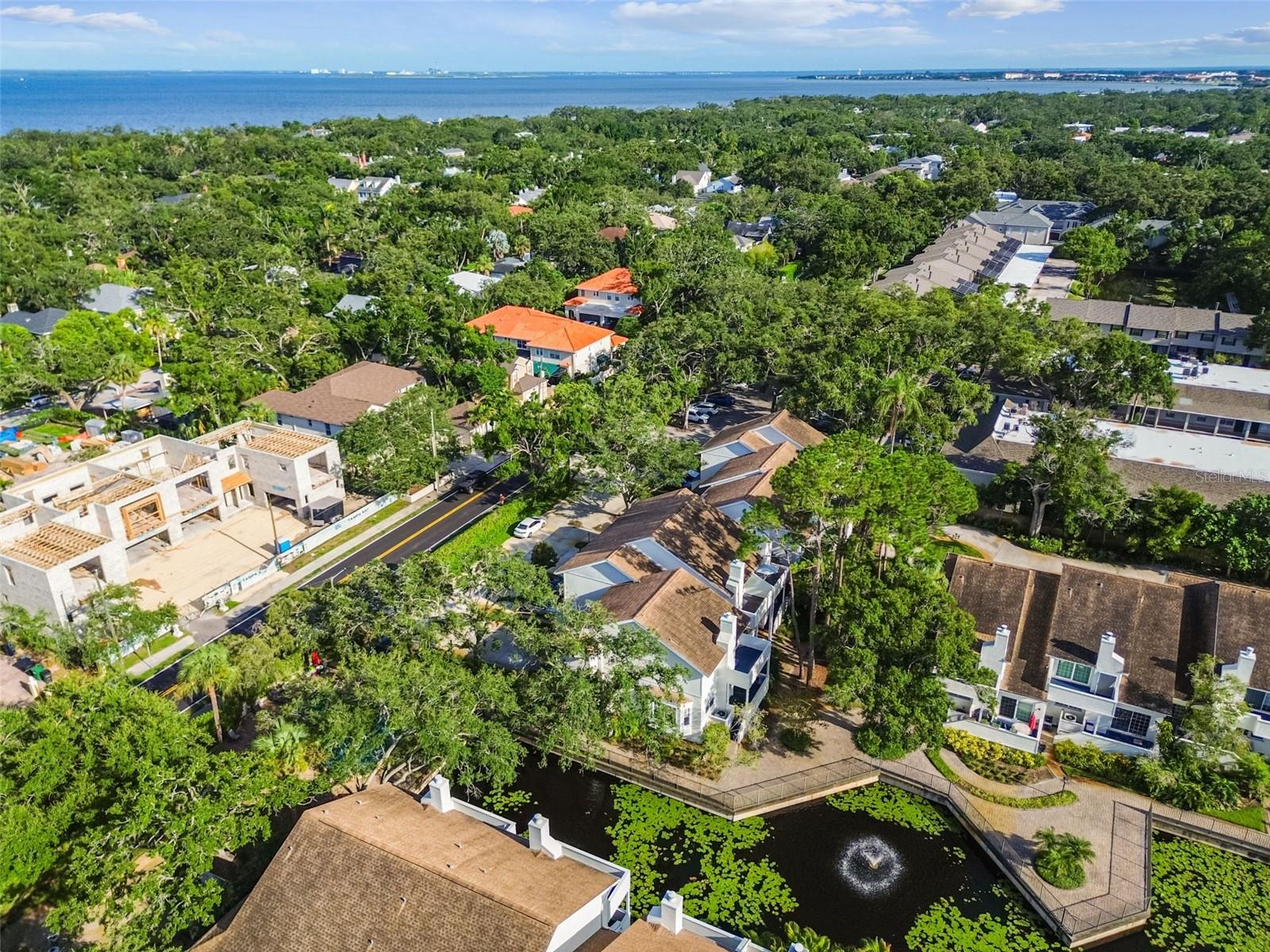 Image 50 of 56 For 5207 Bayshore Boulevard 16