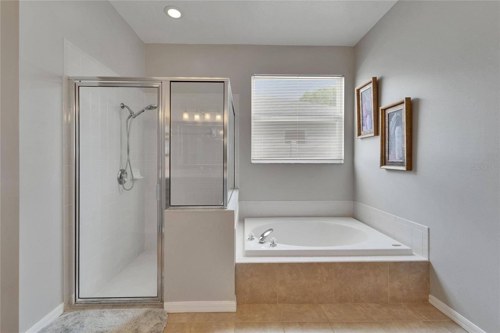 Listing photo id 31 for 607 Tuscanny Street