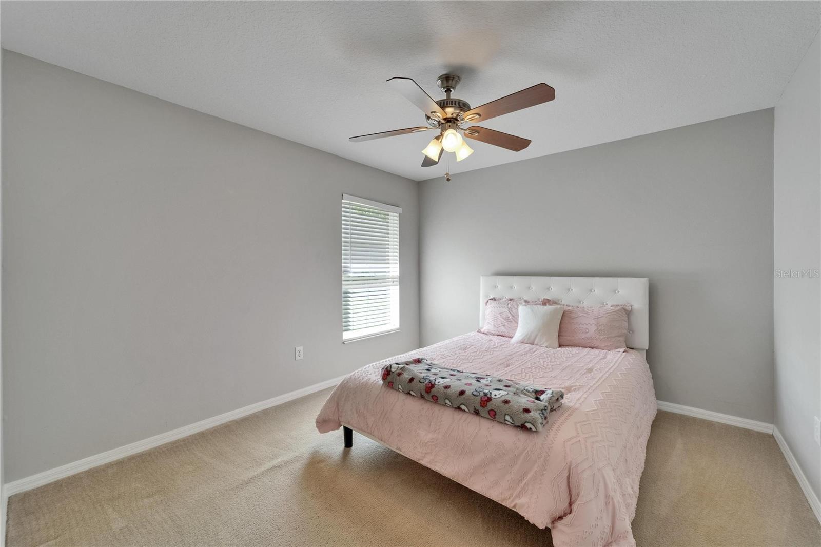Listing photo id 39 for 607 Tuscanny Street