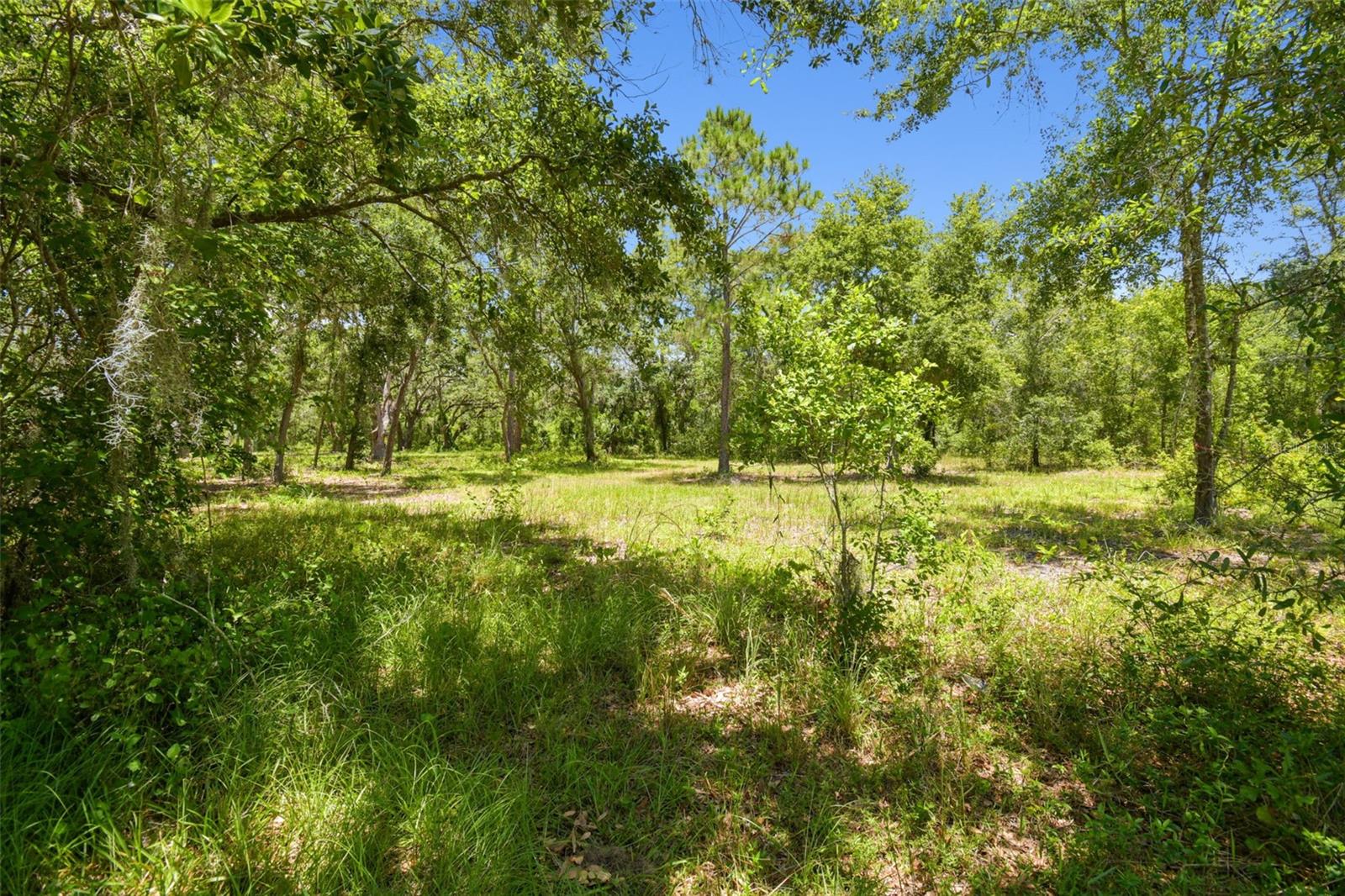 Listing photo id 52 for 2513 Martucci Road