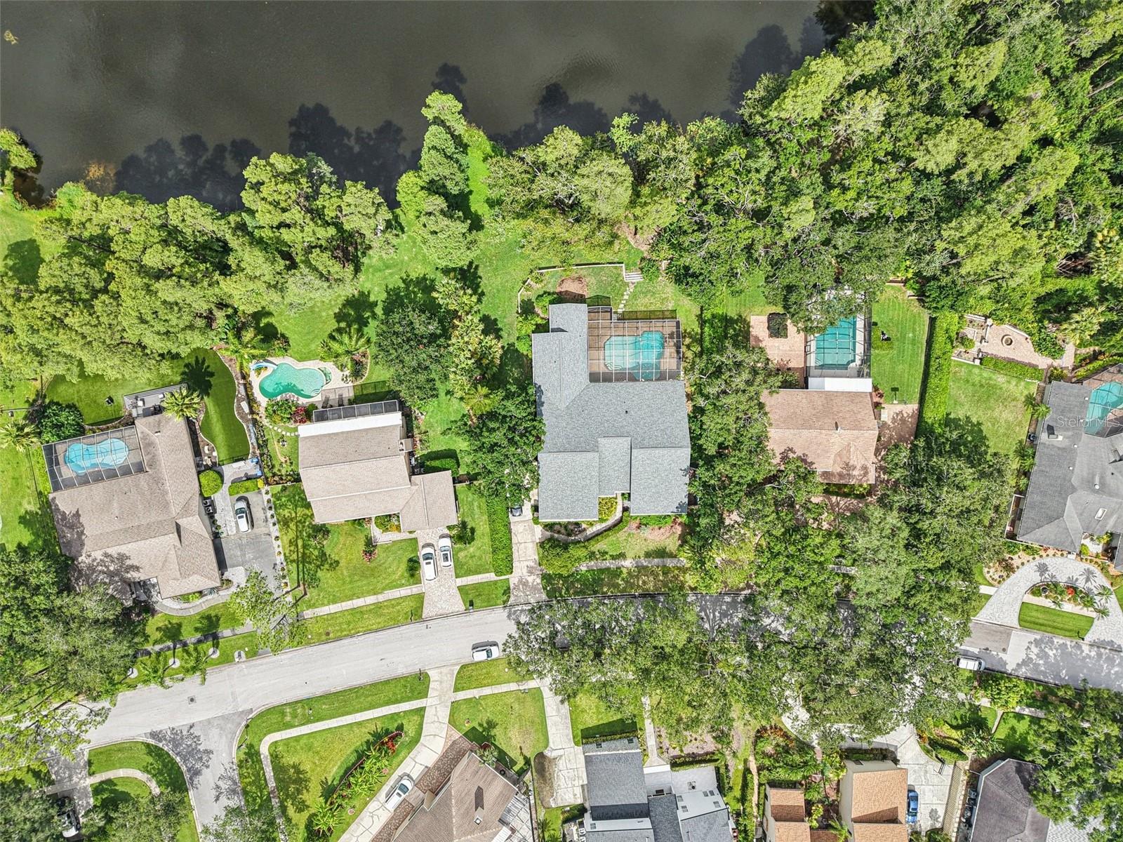 Listing photo id 36 for 4128 Carrollwood Village Drive