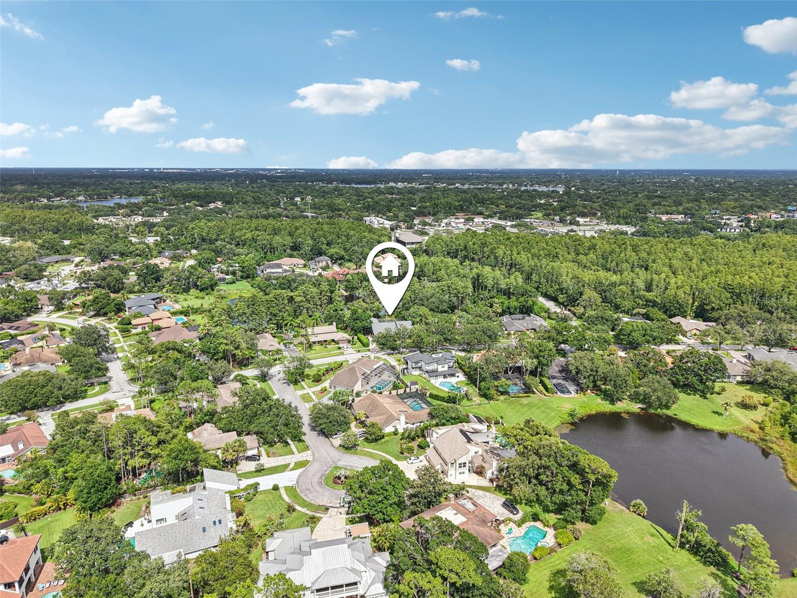 Listing photo id 37 for 4128 Carrollwood Village Drive