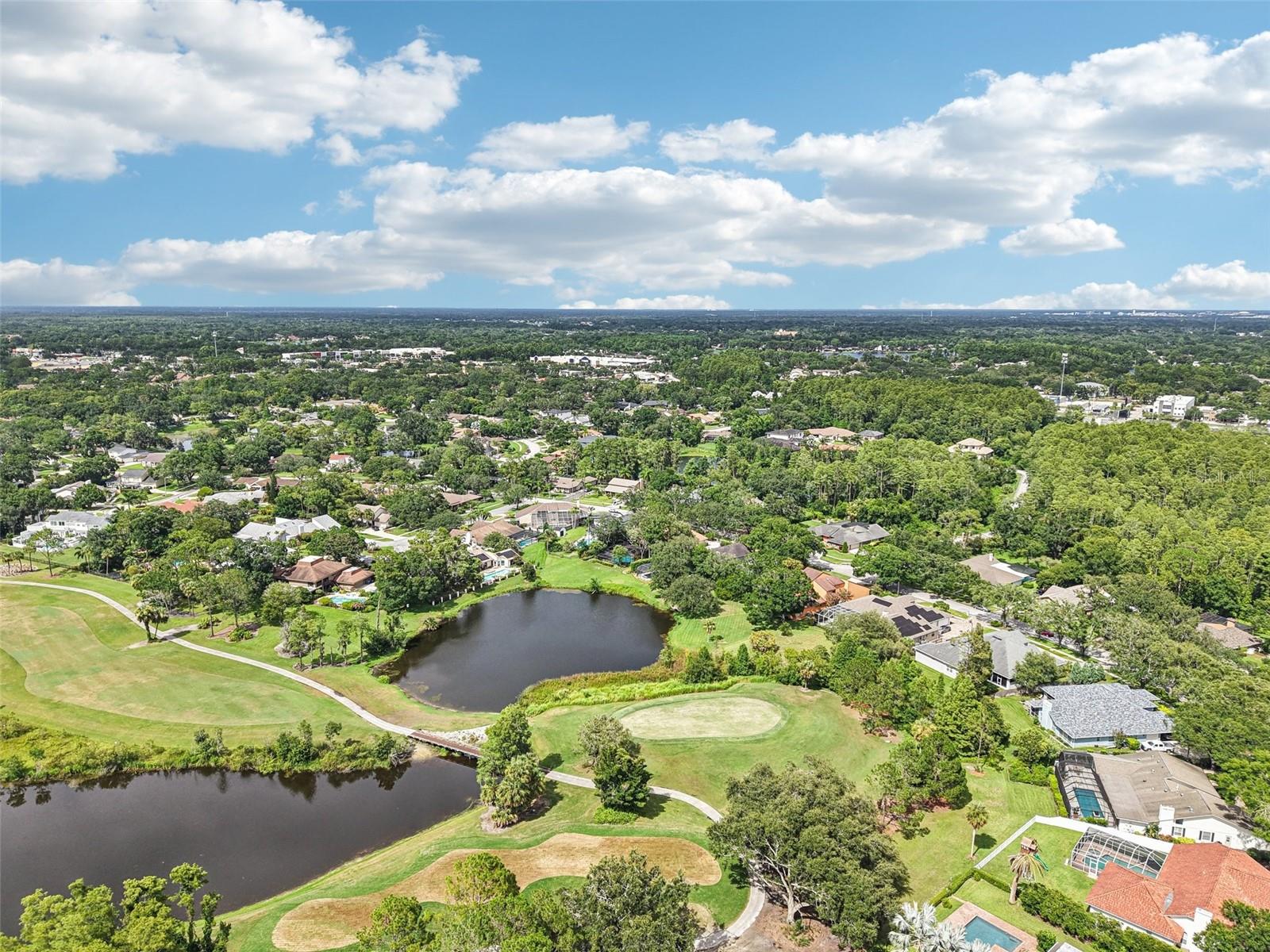 Listing photo id 38 for 4128 Carrollwood Village Drive