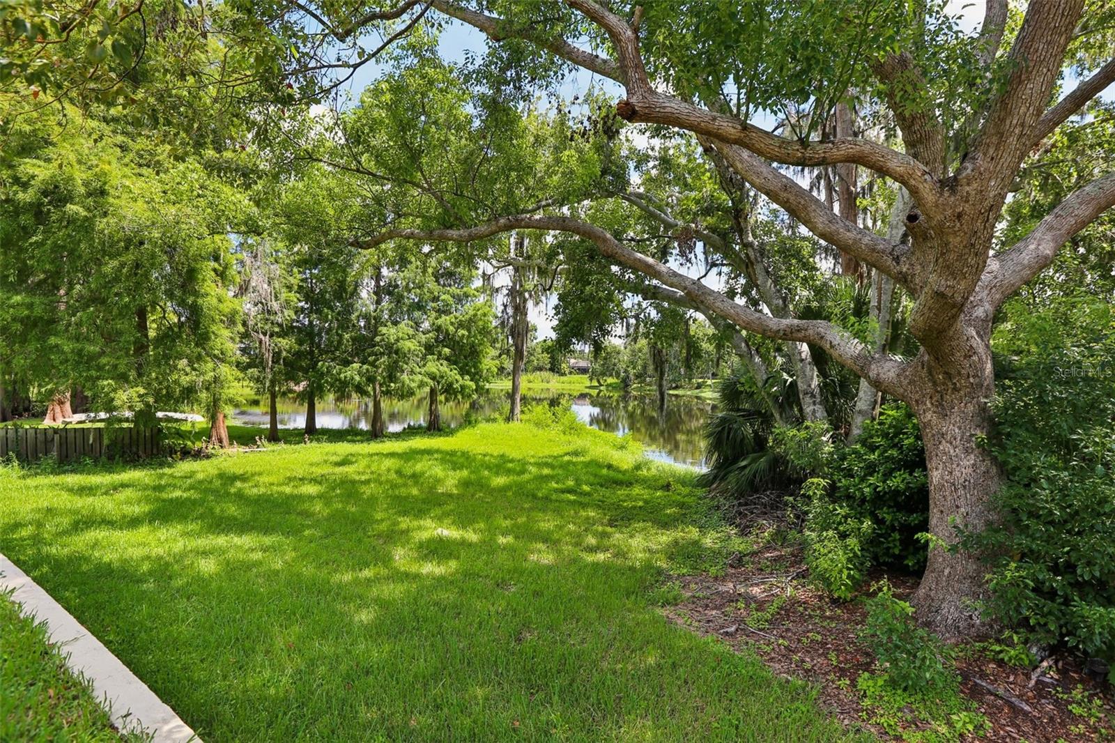 Image 42 of 48 For 4128 Carrollwood Village Drive