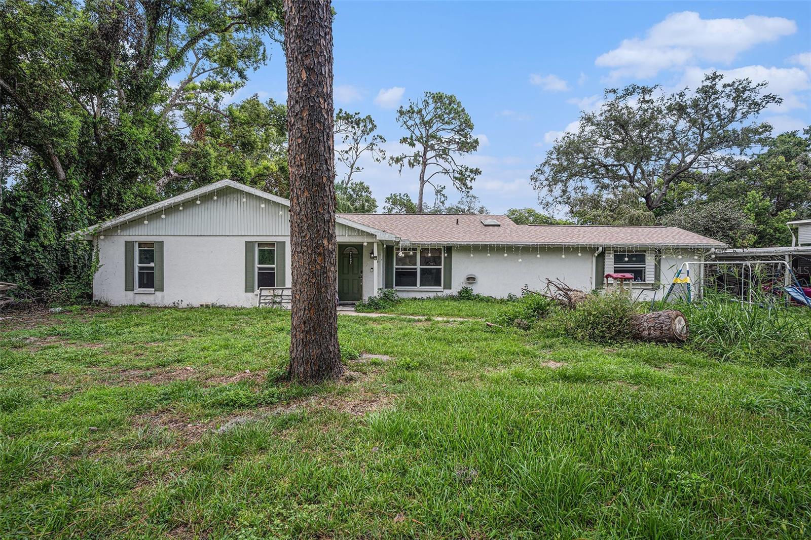 Details for 36251 Horseshoe Drive, ZEPHYRHILLS, FL 33541