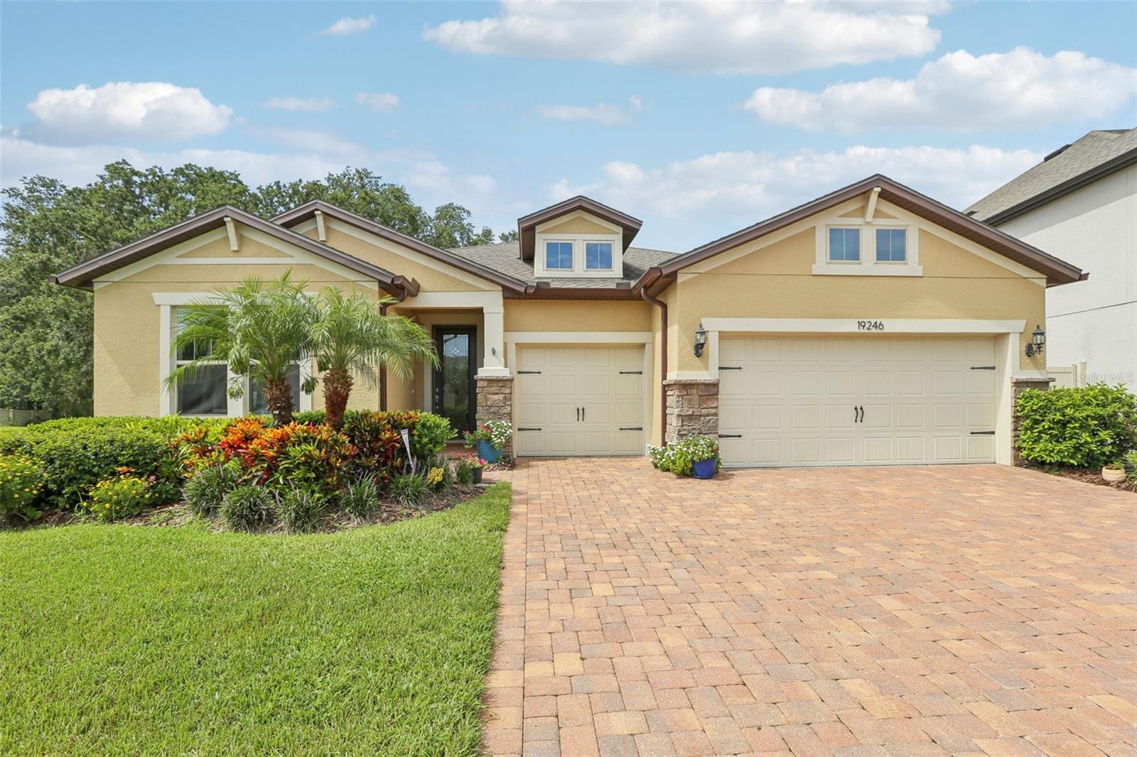 Details for 19246 Briarbrook Drive, TAMPA, FL 33647
