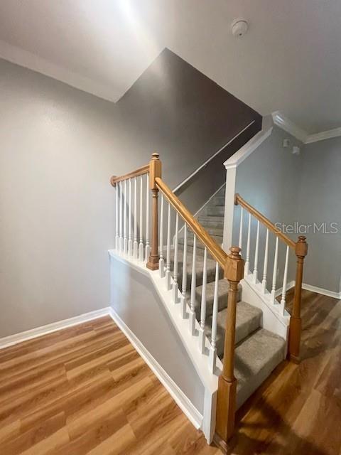 Image 4 of 42 For 8153 Stone Leaf Lane