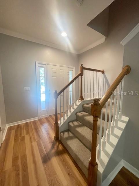 Image 5 of 42 For 8153 Stone Leaf Lane
