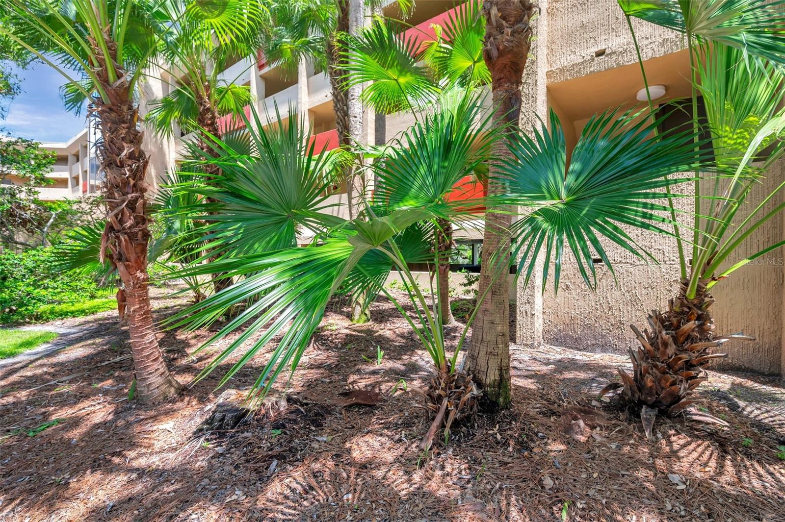 Image 2 of 45 For 3062 Eastland Boulevard 311