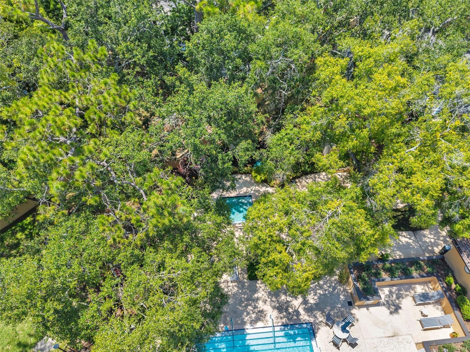 Image 38 of 45 For 3062 Eastland Boulevard 311