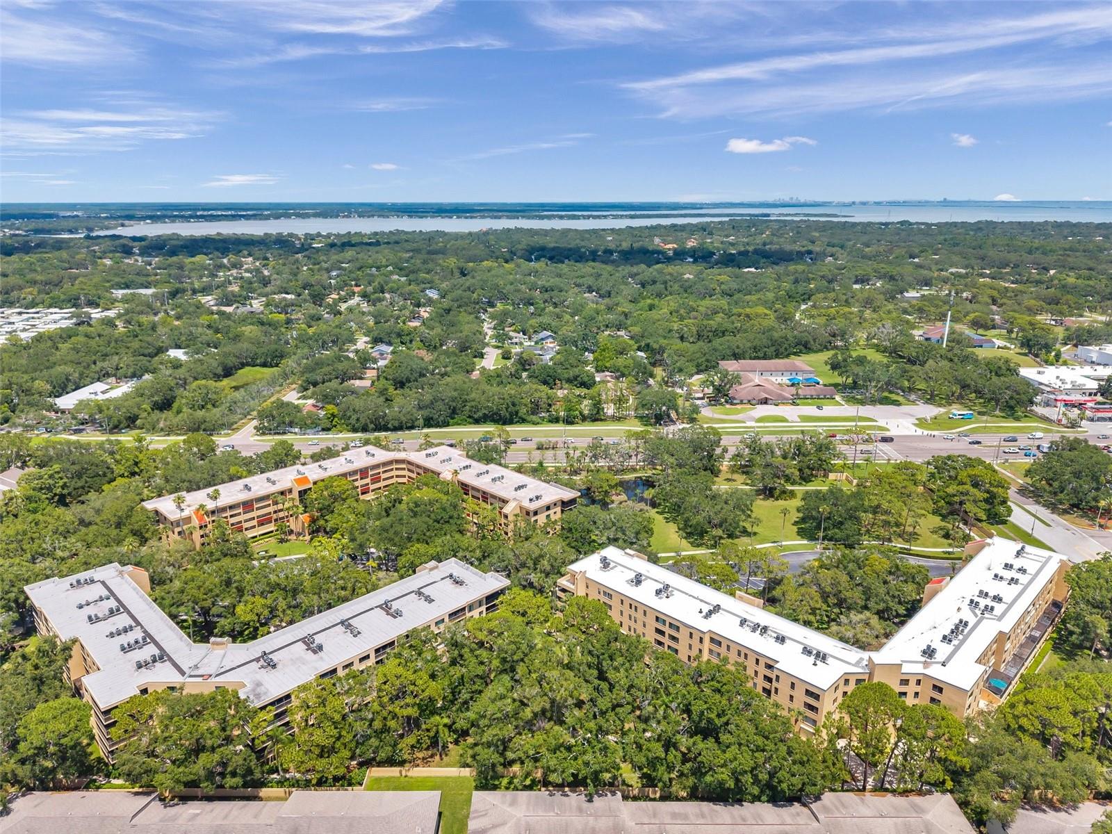 Image 43 of 45 For 3062 Eastland Boulevard 311
