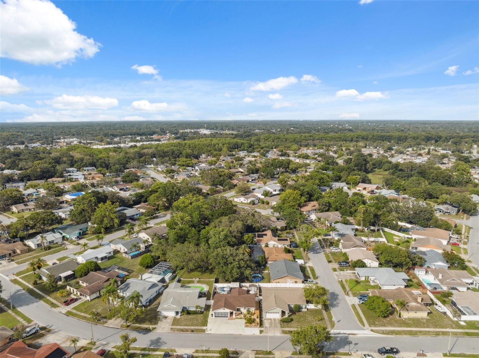 Image 49 of 50 For 11422 Brown Bear Lane