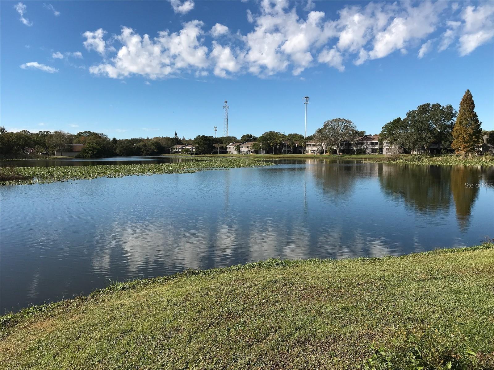 Image 33 of 39 For 3805 Cortez Circle D