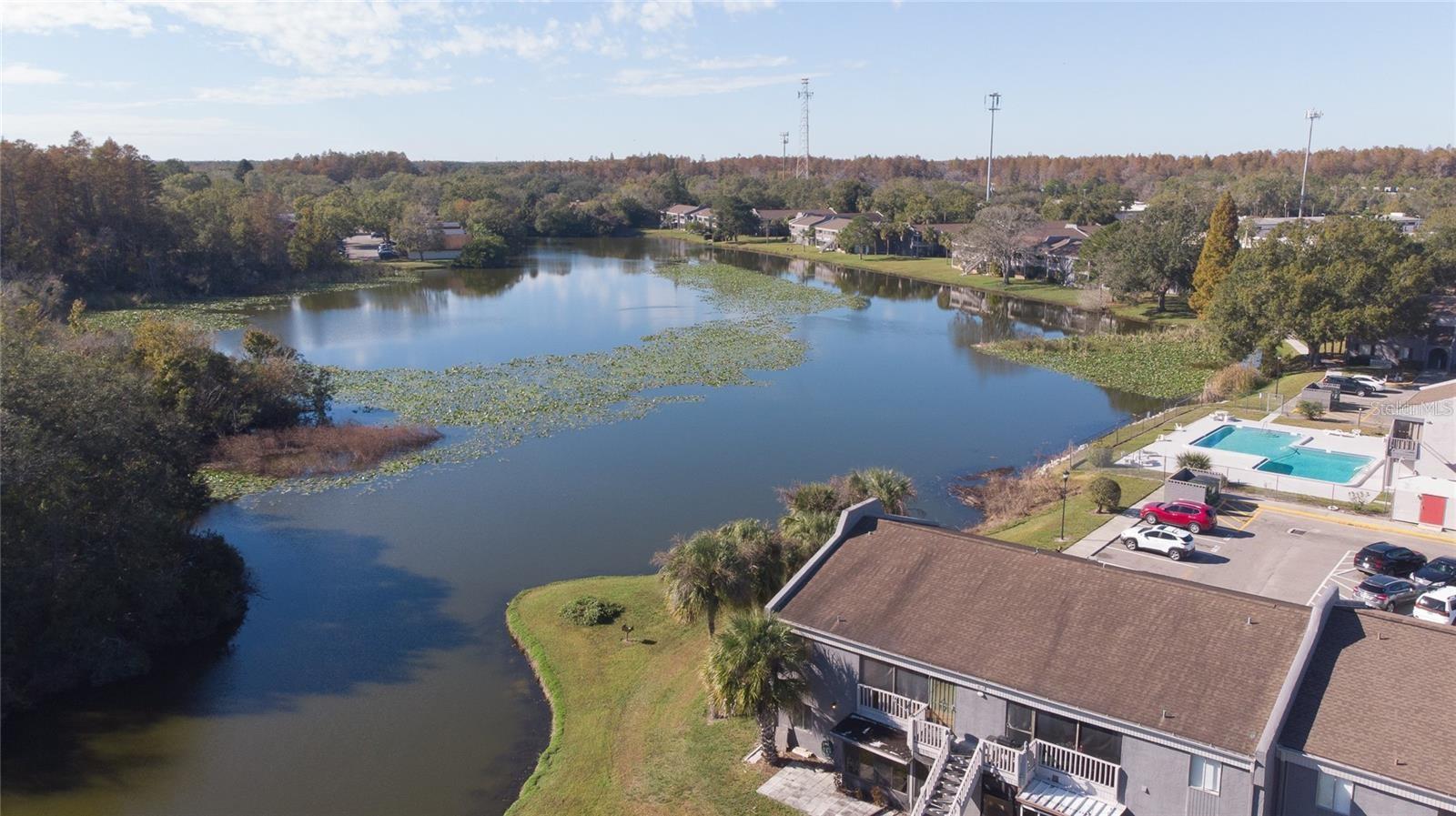 Image 35 of 39 For 3805 Cortez Circle D