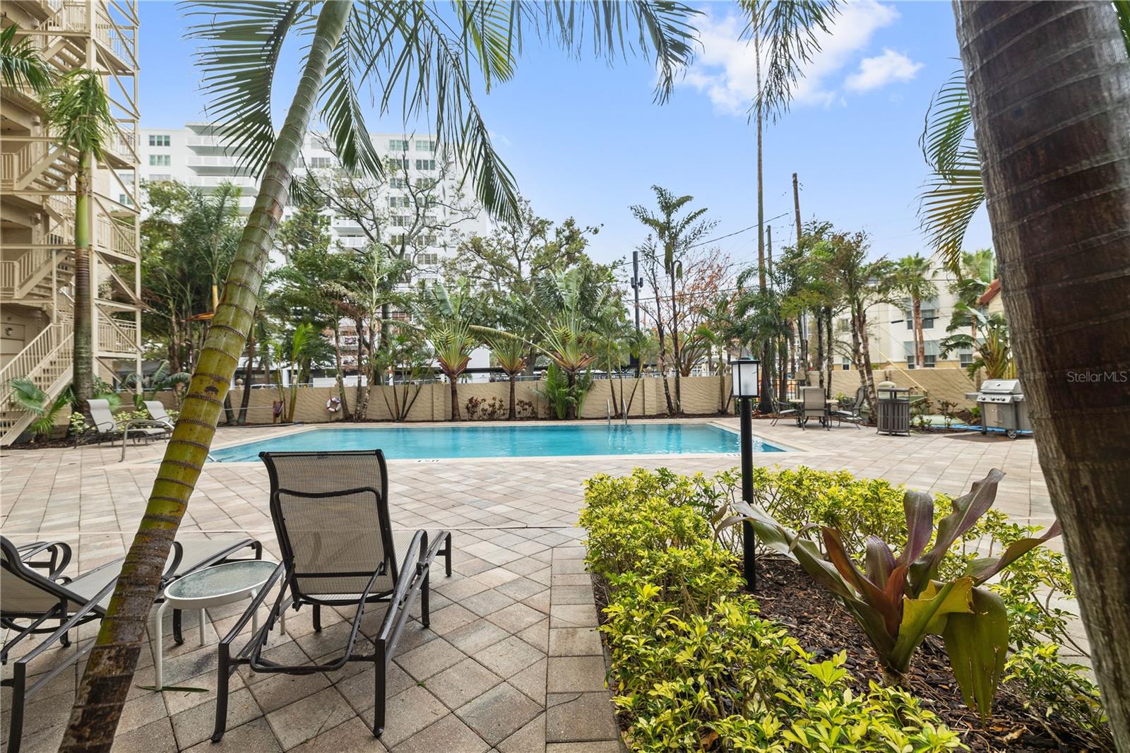 Image 26 of 30 For 2109 Bayshore Boulevard 909