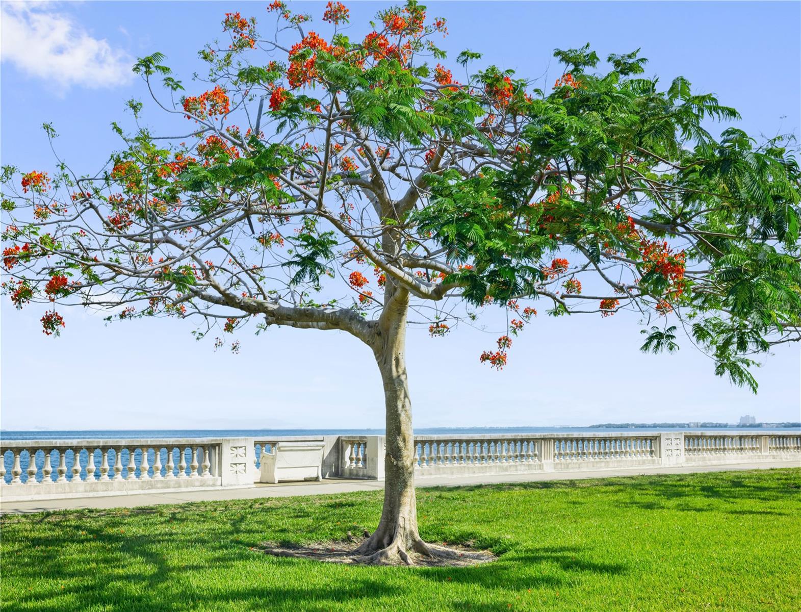 Image 30 of 30 For 2109 Bayshore Boulevard 909