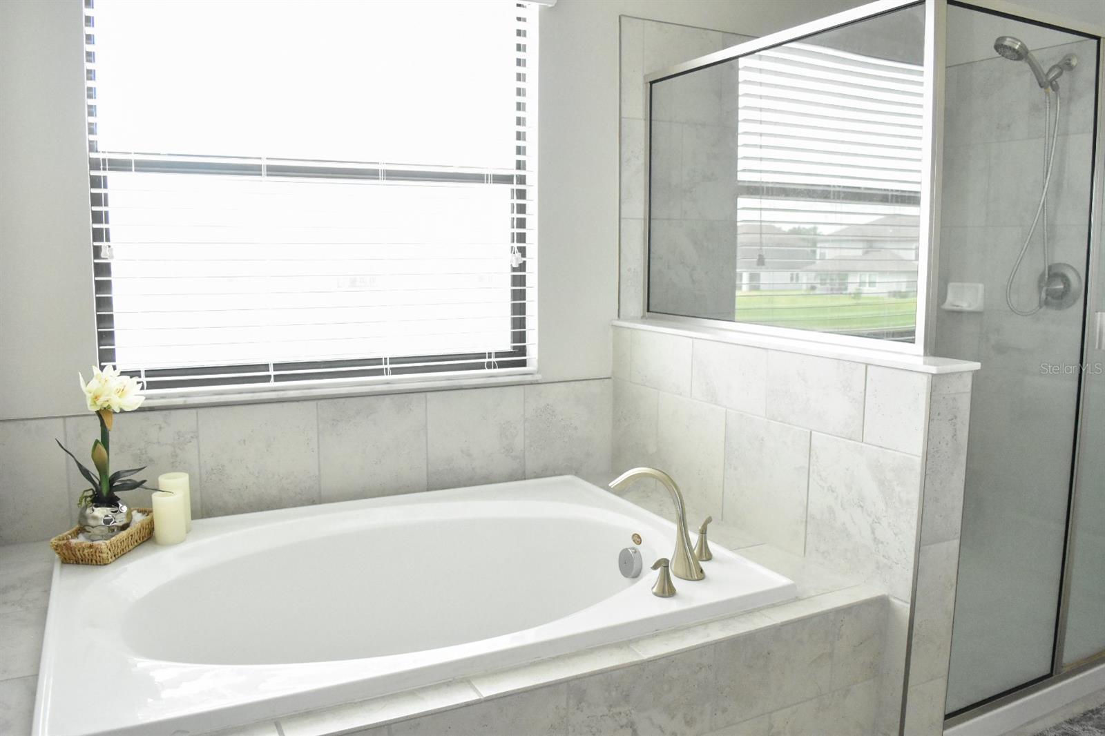 Image 12 of 21 For 13520 White Sapphire Road