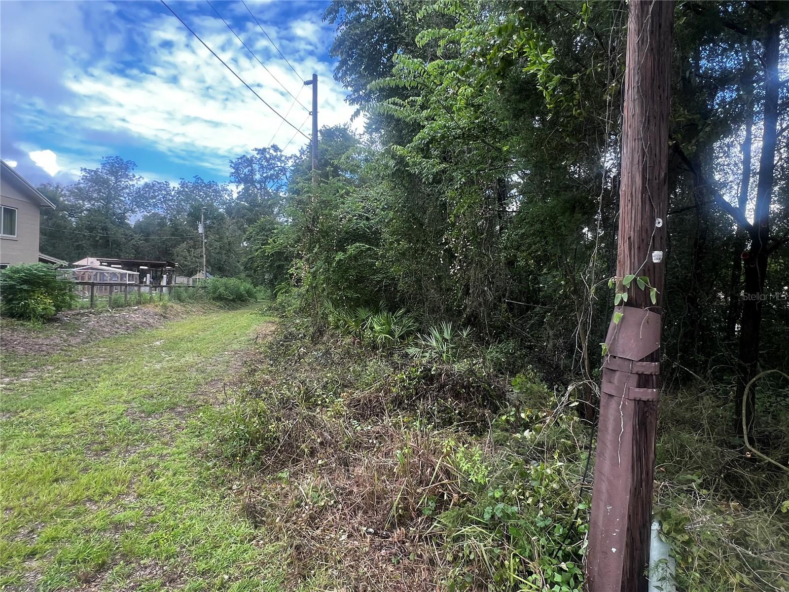 Listing photo id 5 for 0 Olivet Drive