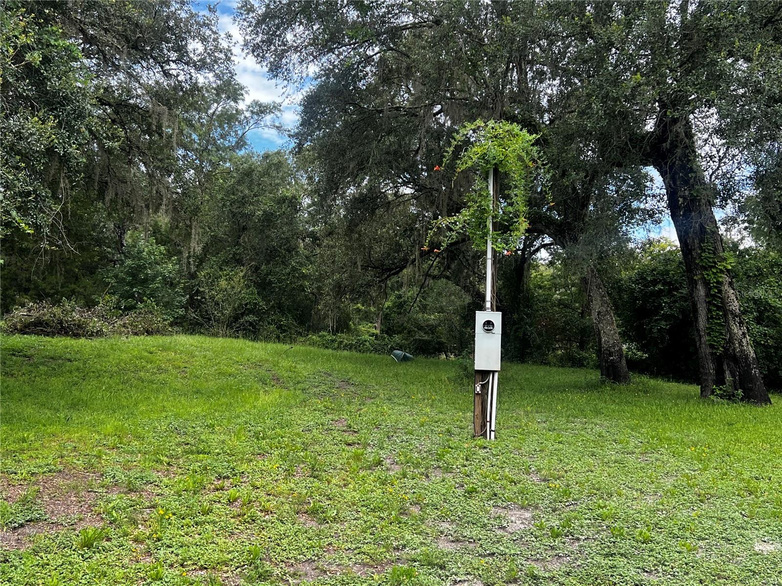 Listing photo id 6 for 0 Olivet Drive