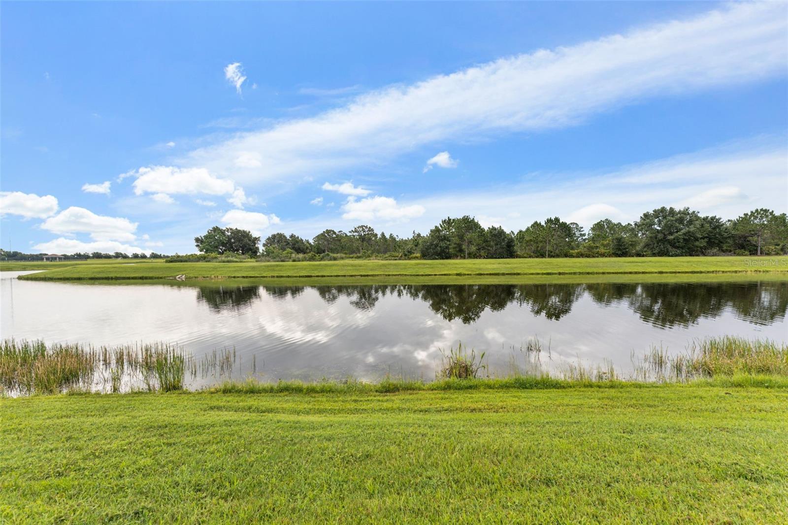 Image 35 of 45 For 13334 Palmera Vista Drive