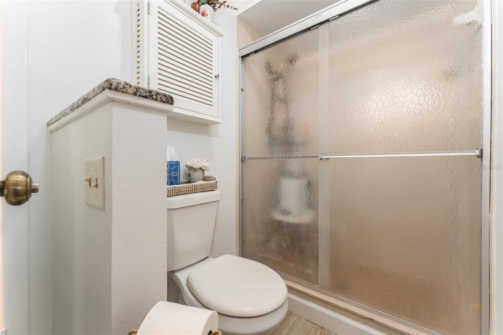 Listing photo id 38 for 909 Silver Palm Way