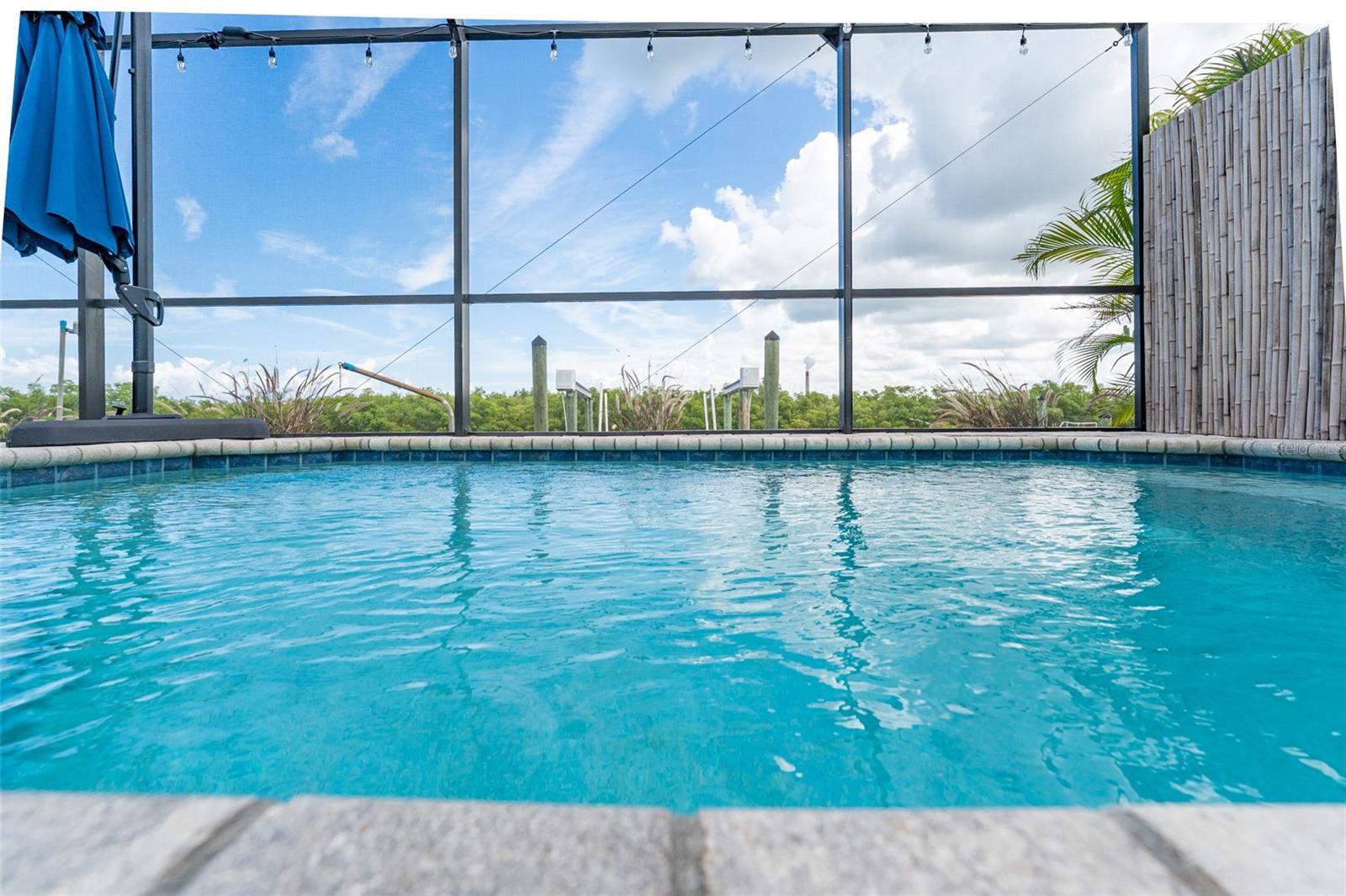 Listing photo id 52 for 909 Silver Palm Way