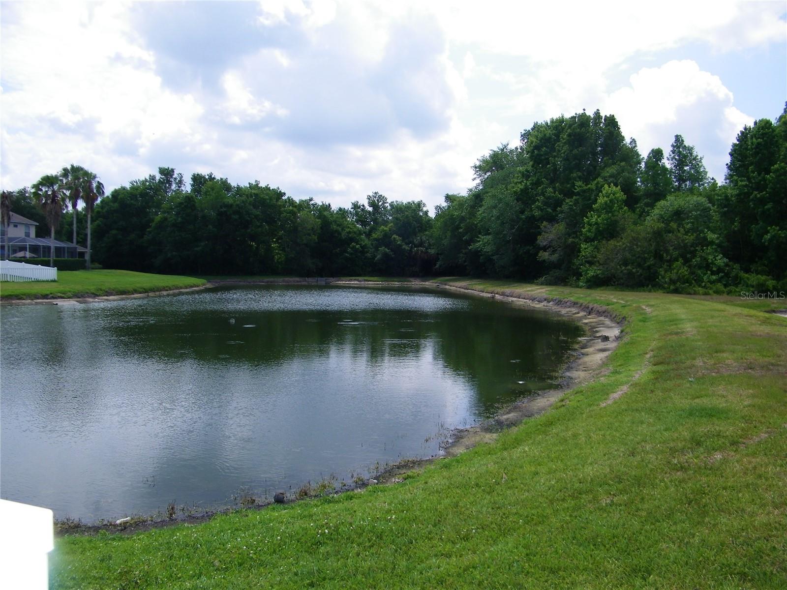 Image 8 of 54 For 27810 Sky Lake Circle