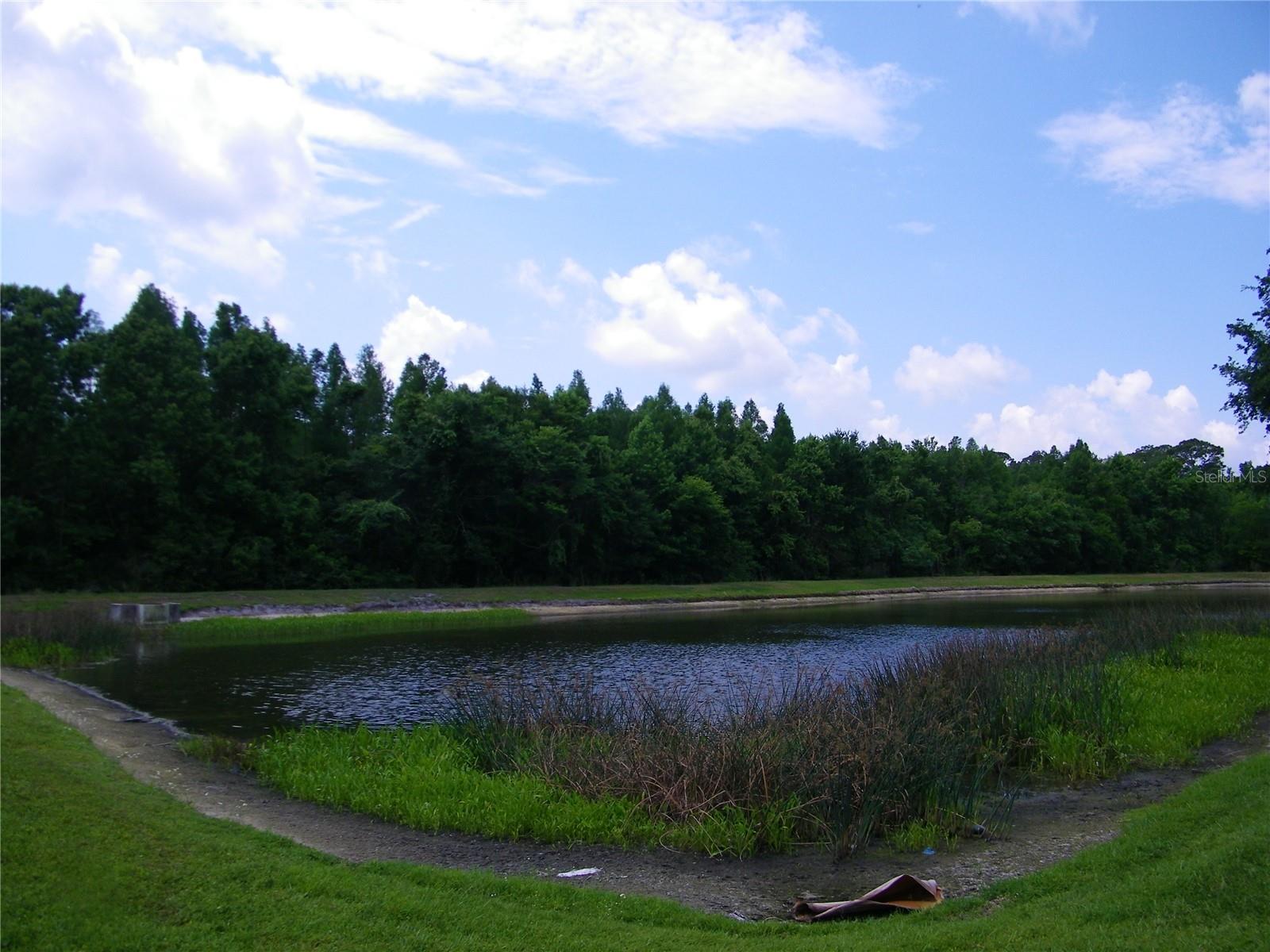 Image 9 of 54 For 27810 Sky Lake Circle