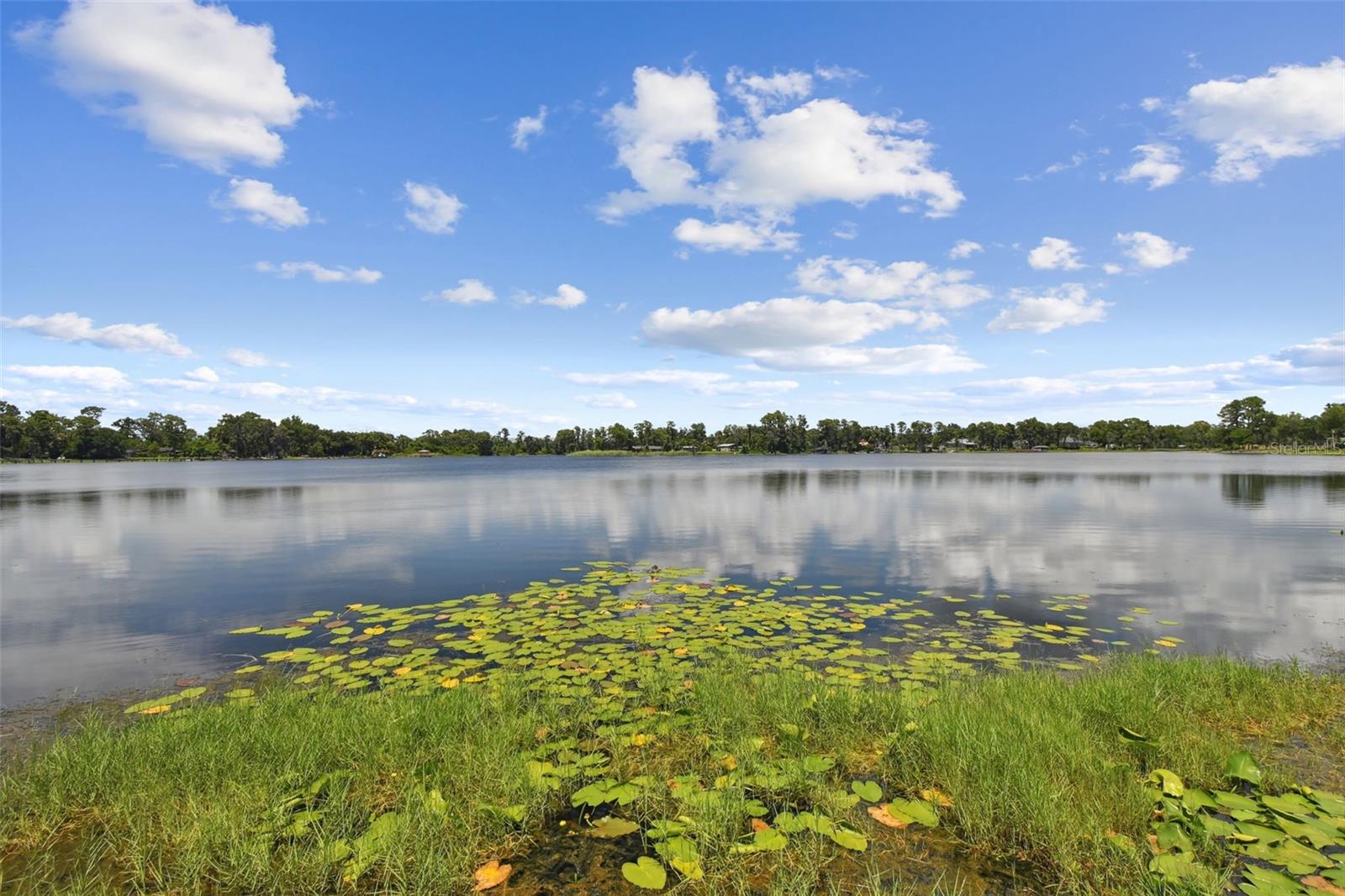 Image 75 of 98 For 10517 Lake Williams Drive