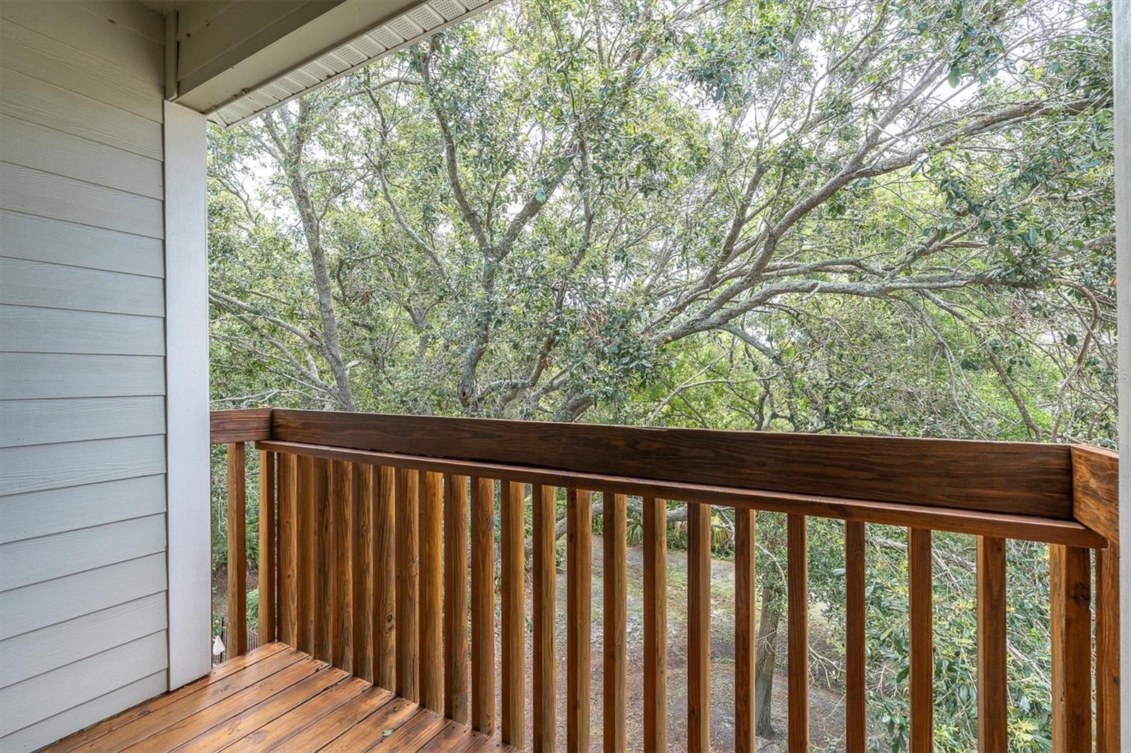 Image 20 of 48 For 1359 Curlew Road