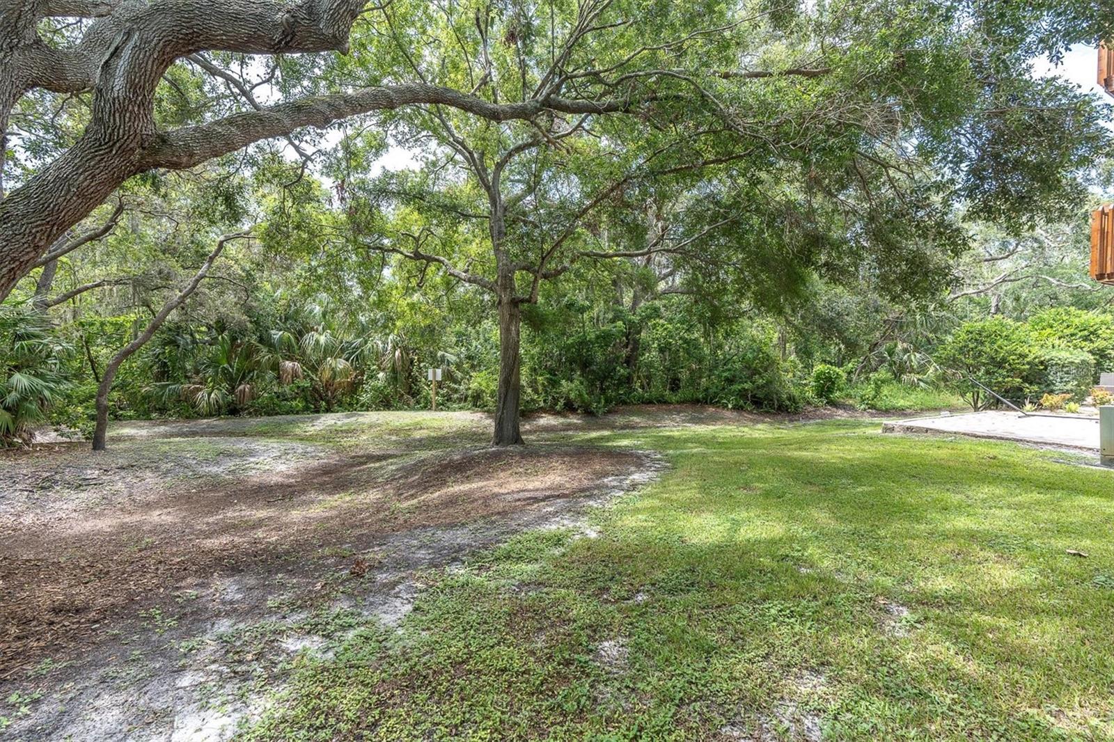 Image 40 of 48 For 1359 Curlew Road