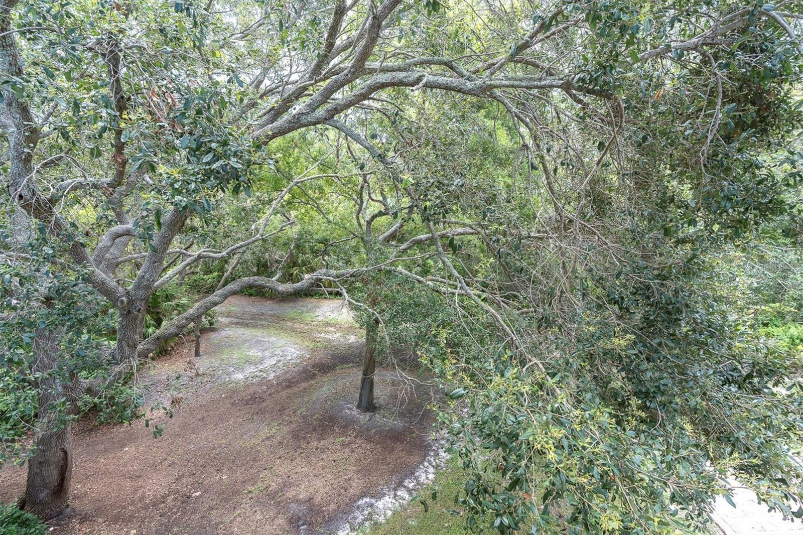 Image 5 of 48 For 1359 Curlew Road