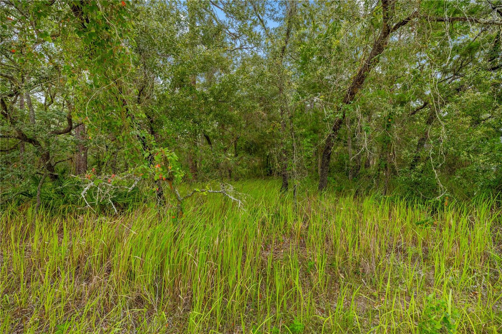 Details for 0000 Maybird Avenue, WEEKI WACHEE, FL 34613