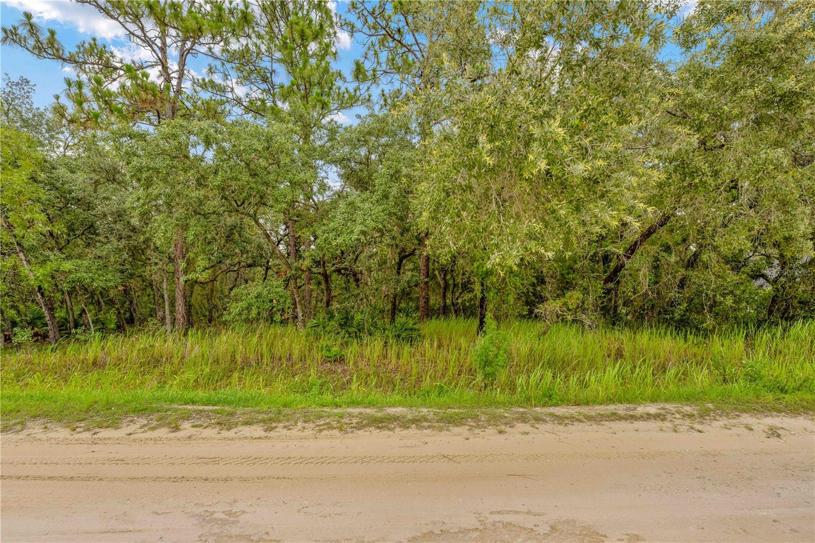 Image 4 of 17 For 0000 Maybird Avenue