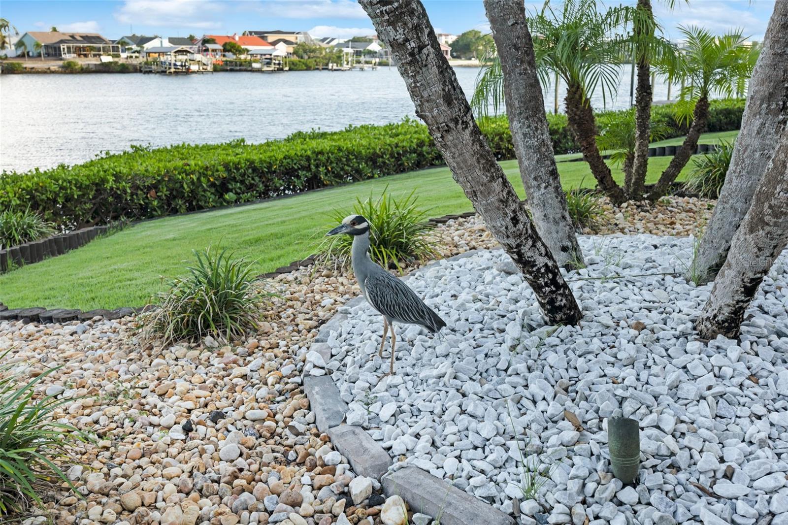 Image 48 of 52 For 6605 Seabird Way