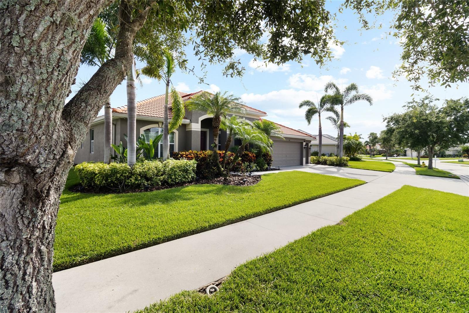 Image 2 of 58 For 317 Royal Bonnet Drive