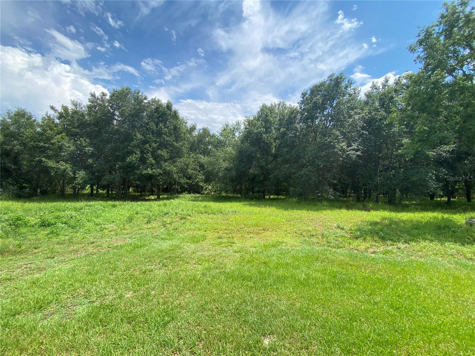 Image 2 of 25 For 31326 Tyndall Road