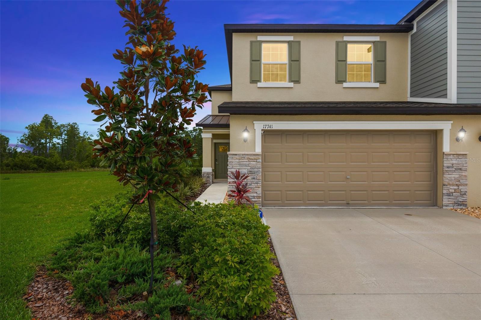 Details for 17741 Tawny Malt Place, LAND O LAKES, FL 34638