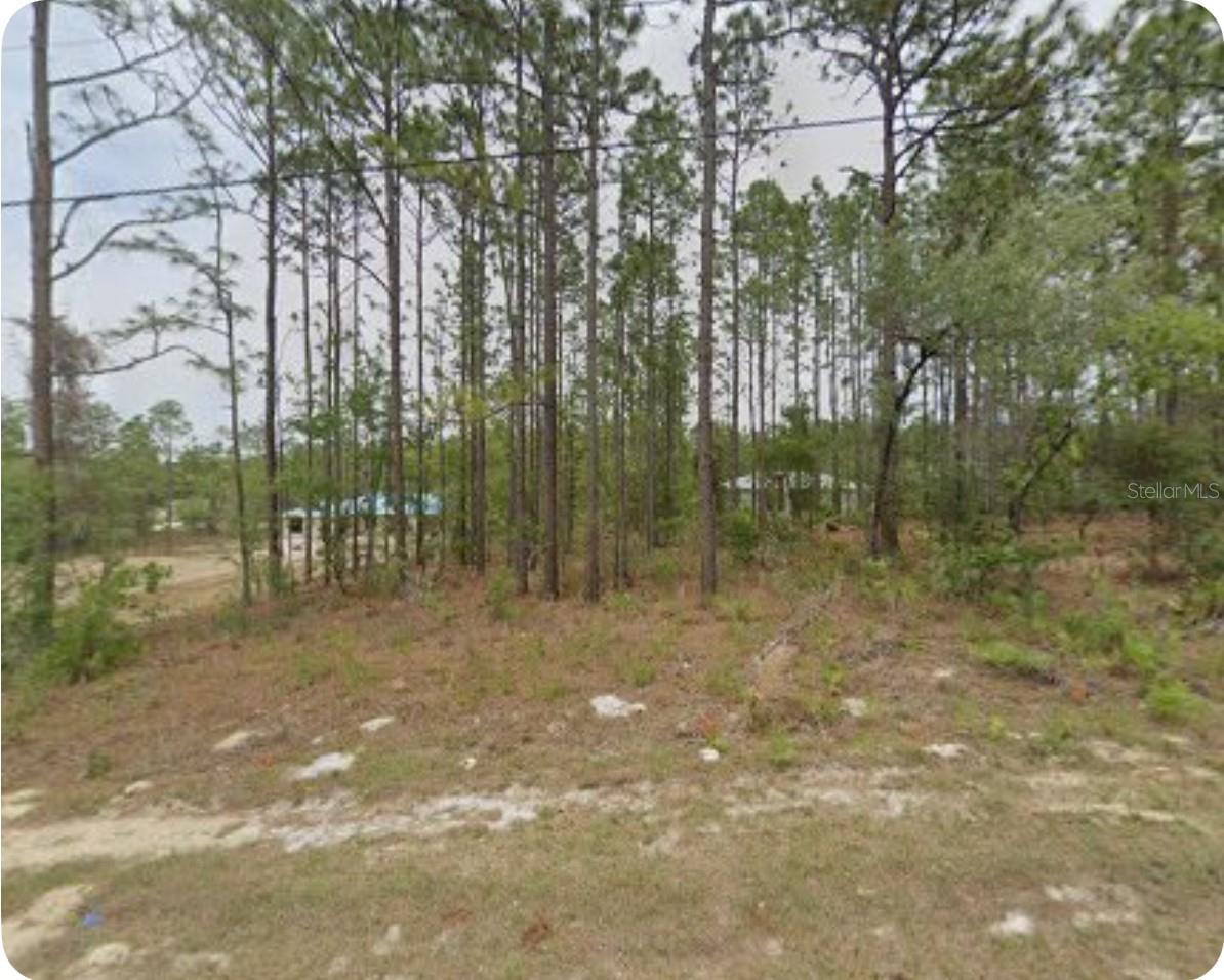 Listing Details for 1561 Gainsboro Lane, CITRUS SPRINGS, FL 34434