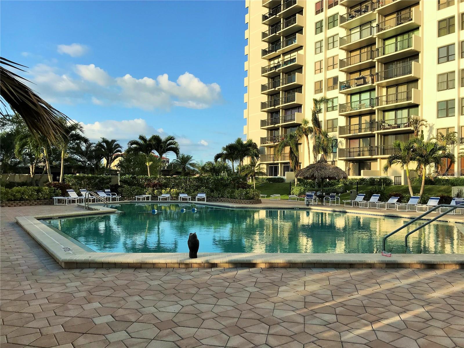 Image 6 of 42 For 400 Island Way 1606
