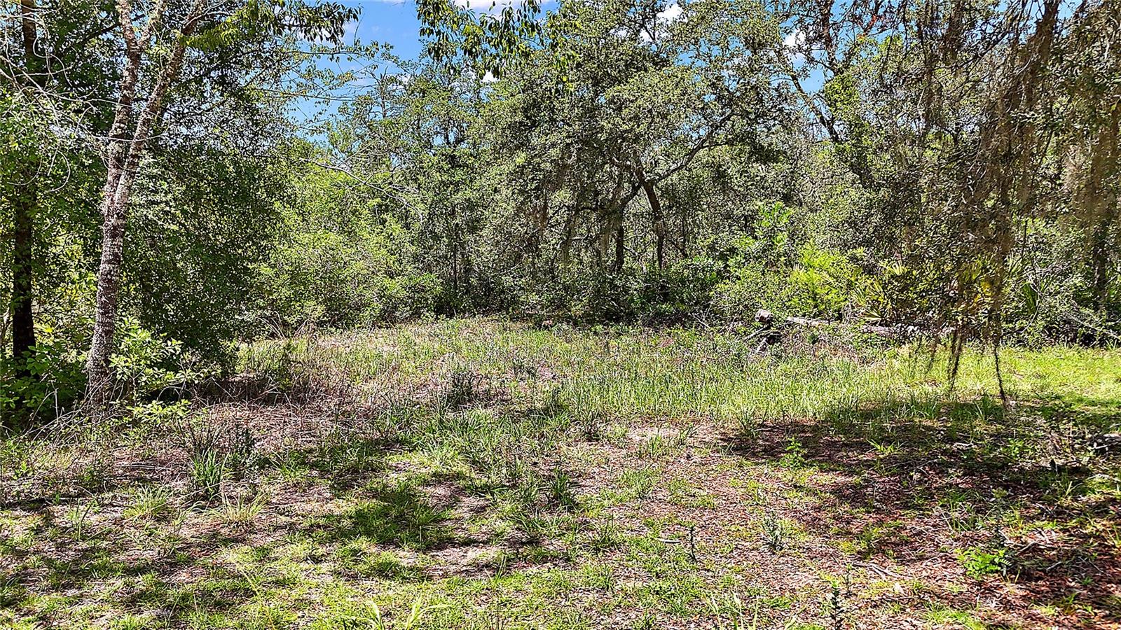 Image 4 of 13 For 0 197th Avenue