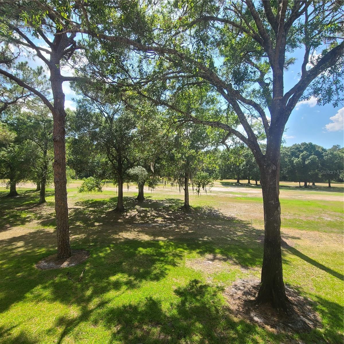 Image 8 of 26 For 3505 Tarpon Woods Boulevard K408