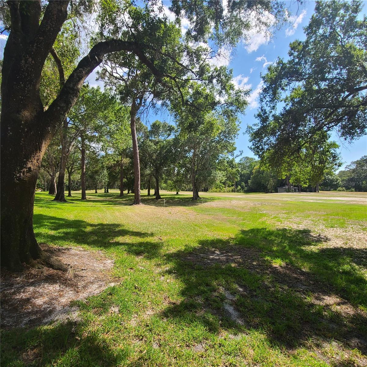 Image 9 of 26 For 3505 Tarpon Woods Boulevard K408