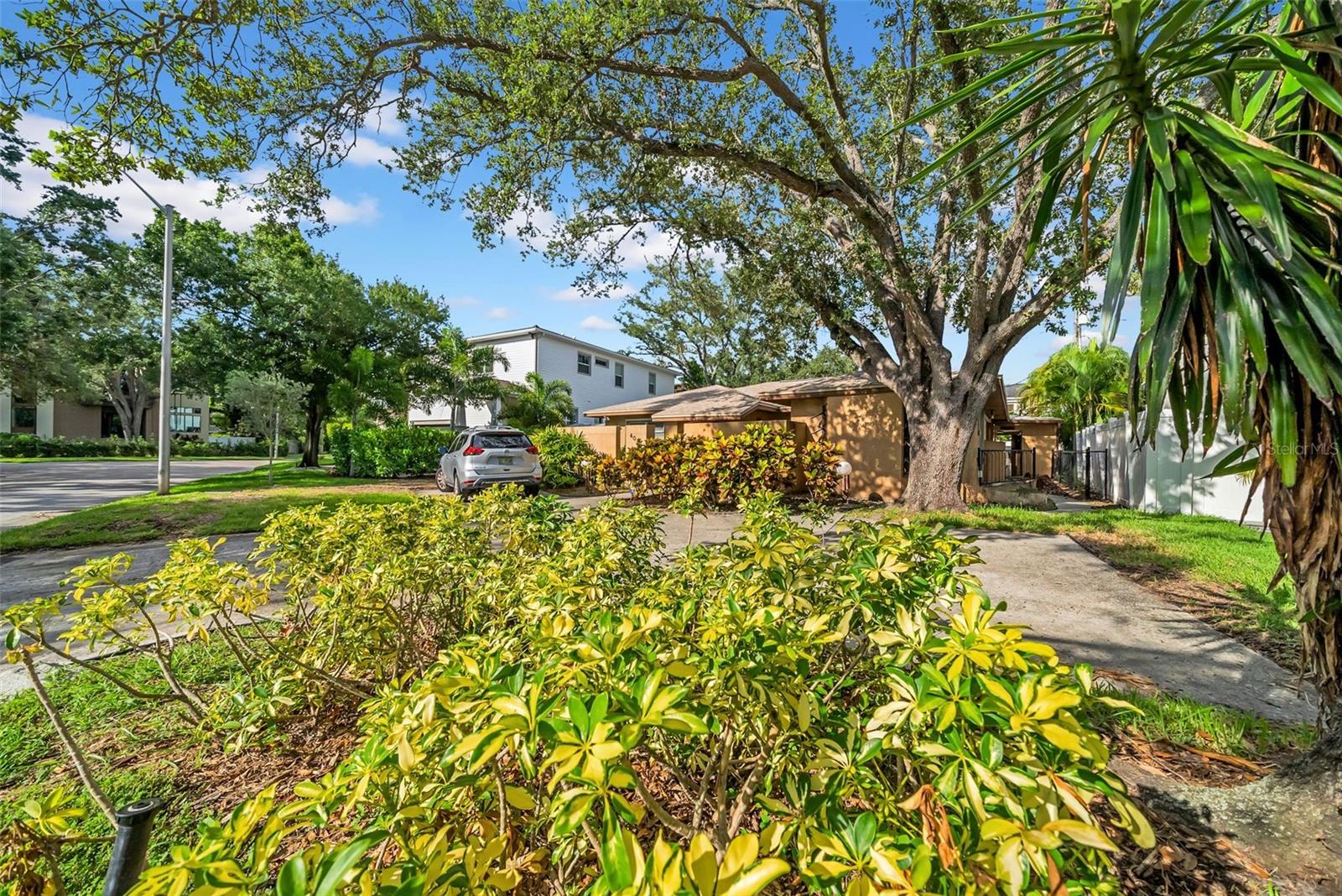 Listing photo id 12 for 403 Erie Avenue