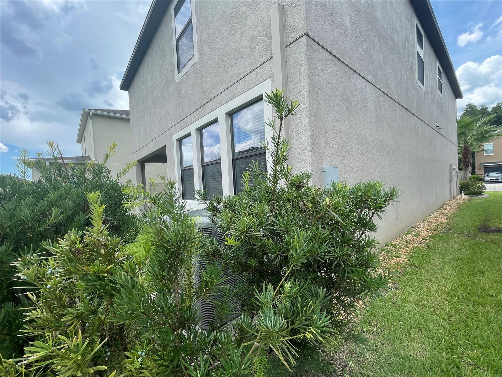 Listing photo id 58 for 1596 Ludington Avenue