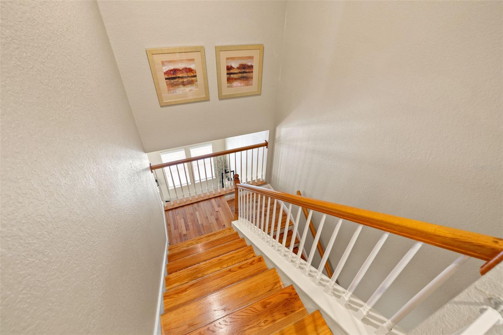 Image 24 of 36 For 3315 De Leon Street 19
