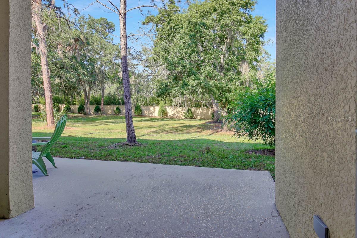Image 20 of 22 For 9219 Stone River Place