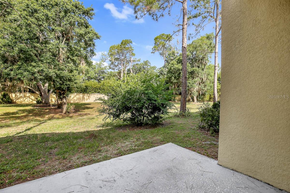 Image 21 of 22 For 9219 Stone River Place