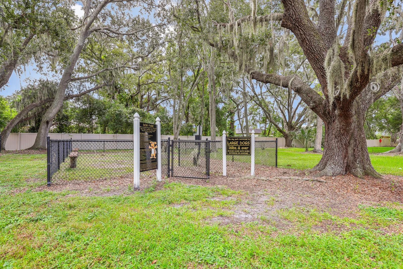 Image 34 of 34 For 9219 Stone River Place